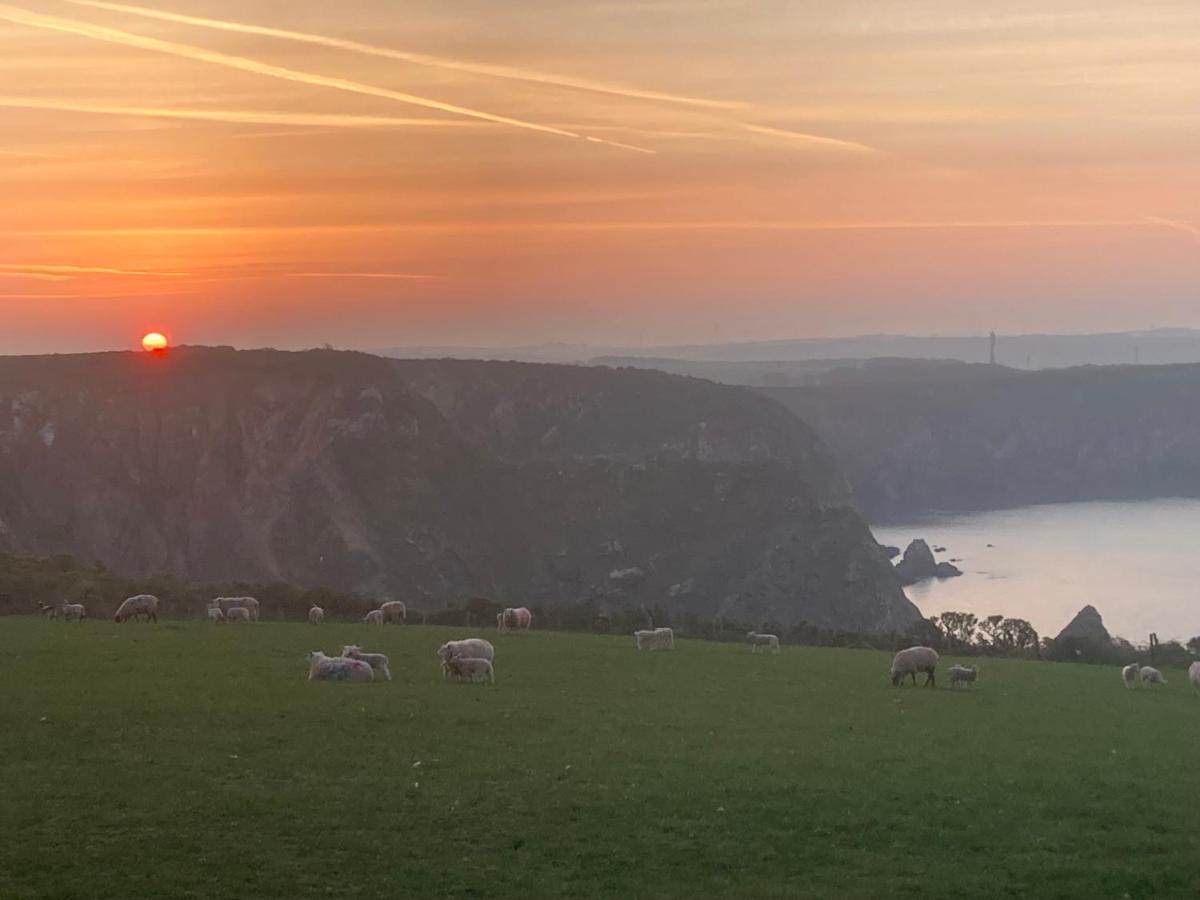 Hotel Coast Path Camping Haverfordwest Zewnętrze zdjęcie
